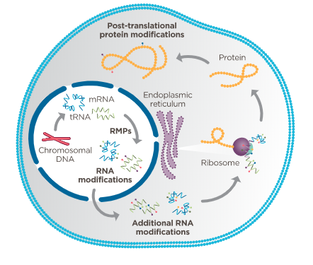 1587697950578629.jpg 1587698499(1).jpg