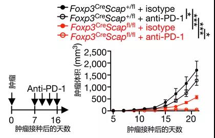 微信图片_20210402134106.jpg