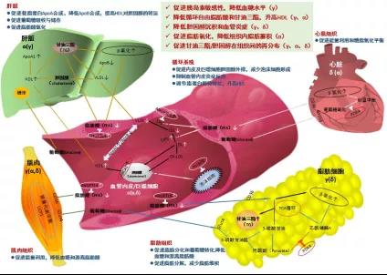 微信图片_20211020142643.jpg