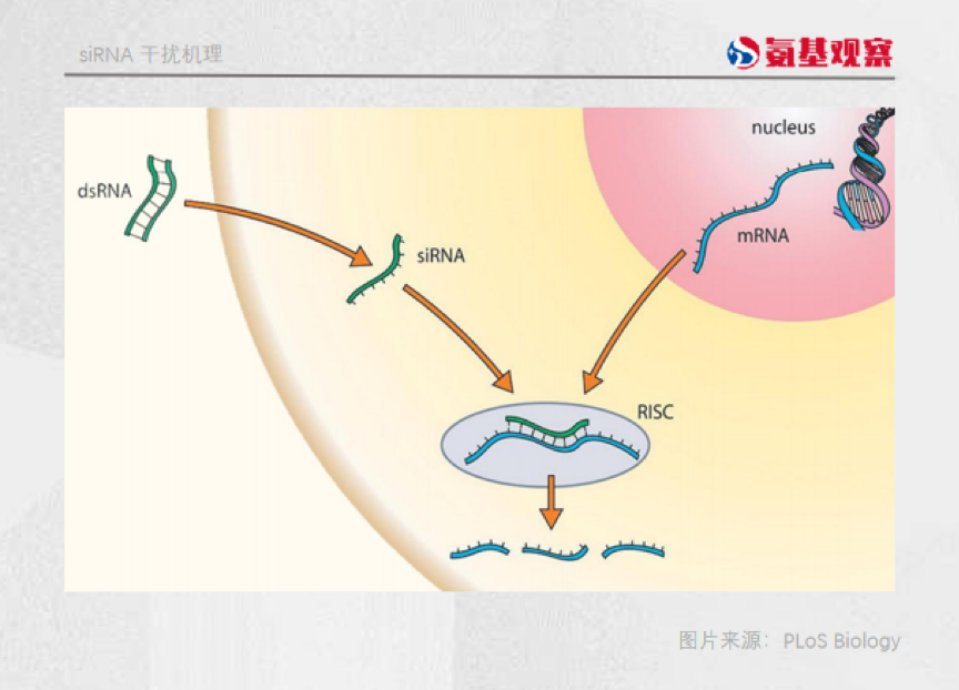 微信图片_20220707140954.png