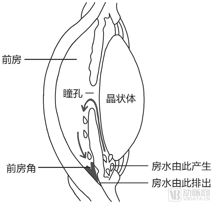 微信图片_20220809140527.png