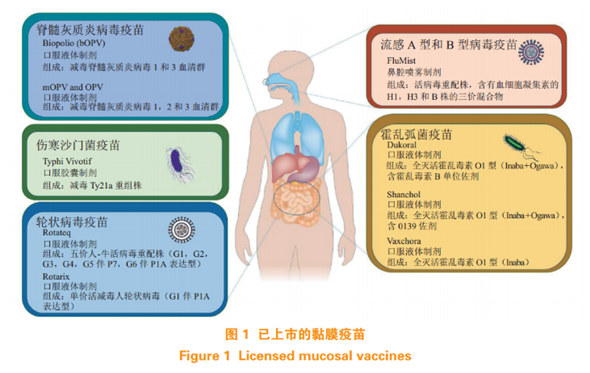 微信图片_20221009135251.png