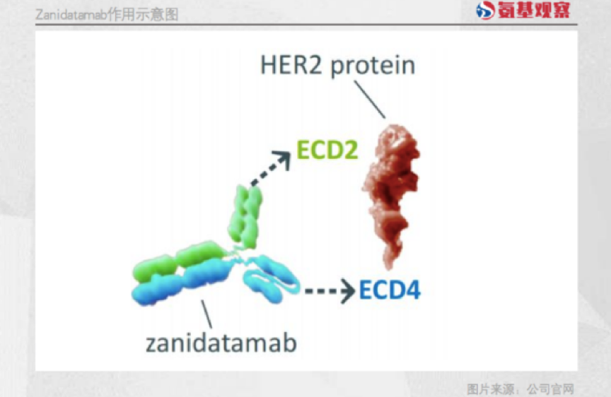 微信图片_20221021142526.png