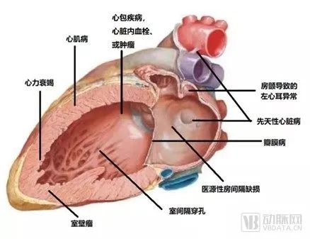 微信图片_20221024150321.jpg