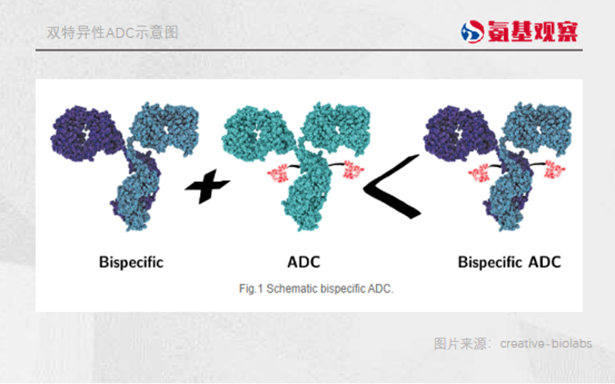 微信图片_20221229135408.png