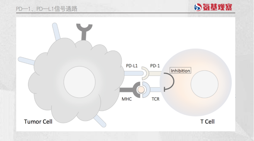 微信图片_20230306141713.png