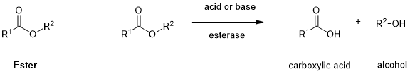 微信图片_20230508161811.png