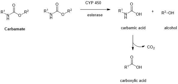 微信图片_20230508161817.png