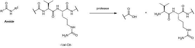 微信图片_20230508161821.png