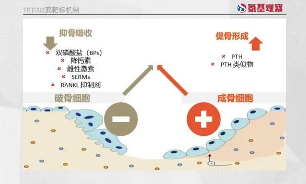 微信图片_20230519155144.jpg